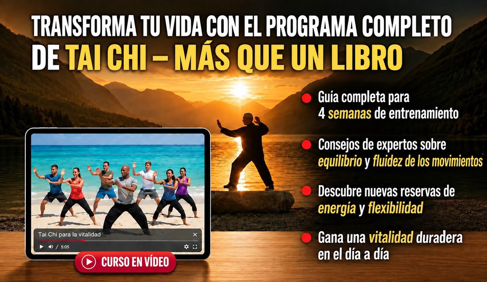Curso en vídeo
